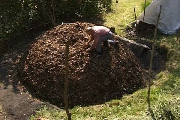  Image name: 42 Carbonai.jpg 
 width: 600 pixel 
 height: 400 pixel 
 Size: 52042 bytes 
 Click to enlarge 